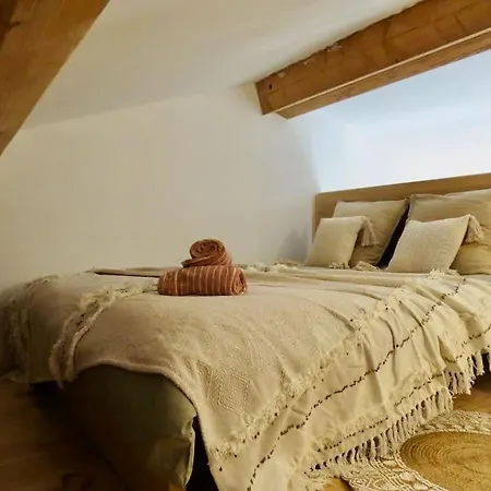 Jungle Room Avec Jacuzzi Prive *