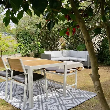 Jungle Room Avec Jacuzzi Prive Apartment *